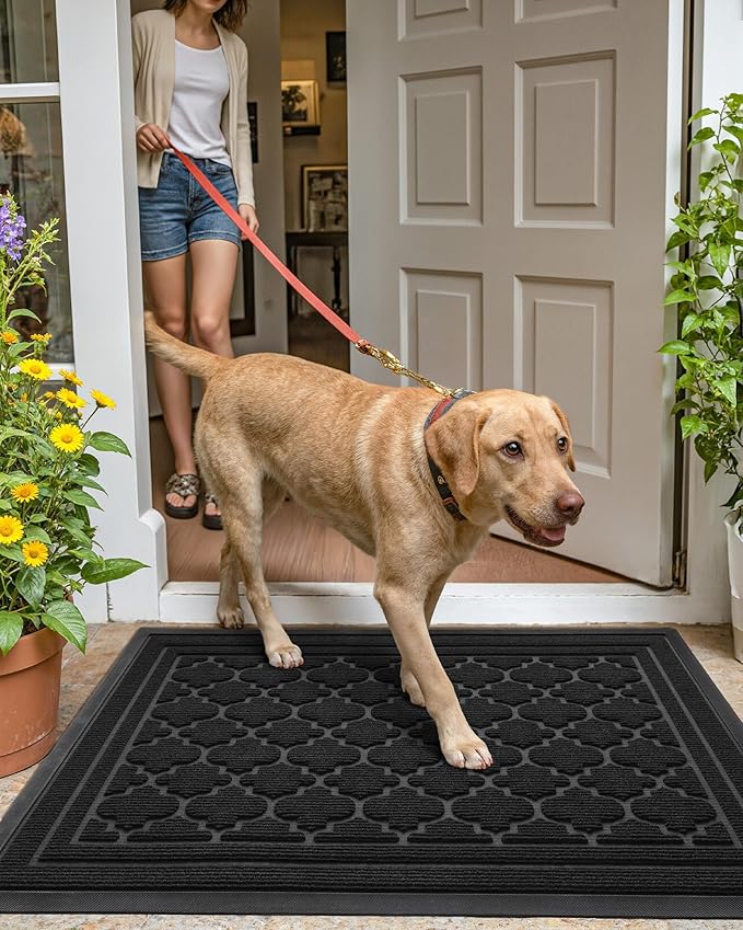 Color&Geometry Front Door Mat Outside Entrance, Heavy Duty Non Slip Low Profile Doormat for Entryway, Trap Dirt and Moisture Welcome Mats All-Weather, Easy Clean, Patio, Garage, 17"x30" Black
