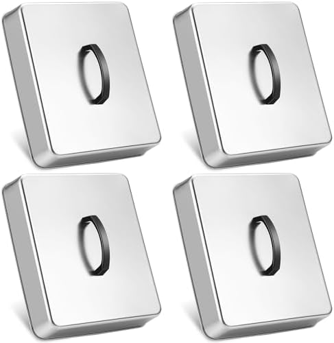 Reallnaive 4 Pcs 13 x 11 Inch Rectangular Basting Cover Stainless Steel Cheese by Reallnaive