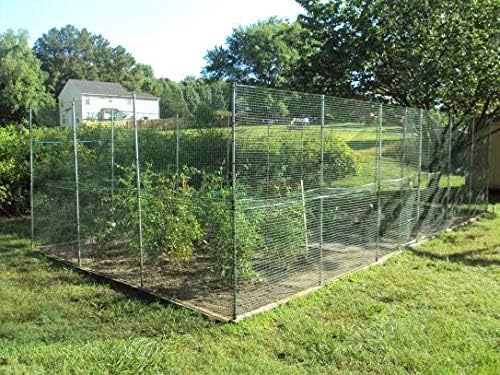BOEN Garden Fence Temporary Barrier Outdoor Fence for Dog, Rabbit or Deer, Garden Netting Plastic Mesh Plant Protection (4' x 75', Black)