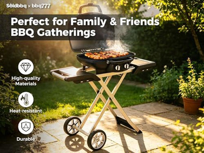 Cast Iron Reversible Griddle for Napoleon All TravelQ 285 Series Gas Grill - Image 5