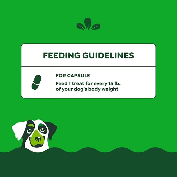 Greenies Pill Pockets for Dogs, Large Size Soft Dog Treats, Cheese Flavor, 15.8 oz. Pouch