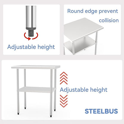 Stainless Steel Table (Backboard Table+Adjustable Legs, 24 x 48 Inch)