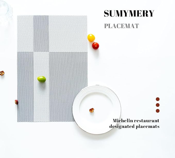 Placemats Set of 4 Vinyl/Plastic Woven Place Mats for Kitchen Table Indoor/Outdoor Washable Placemat Wipeable Dining Table Mats (Silver Cube,4)