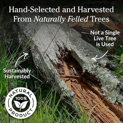 Plow & Hearth 2 LBS Fatwood Fire Starter Sticks Organic Kindling, Easy Ignition Fat Wood, All Natural Firestarters for Fire Pit, Wood Stoves, Fireplaces, Campfires, Bonfires, BBQ