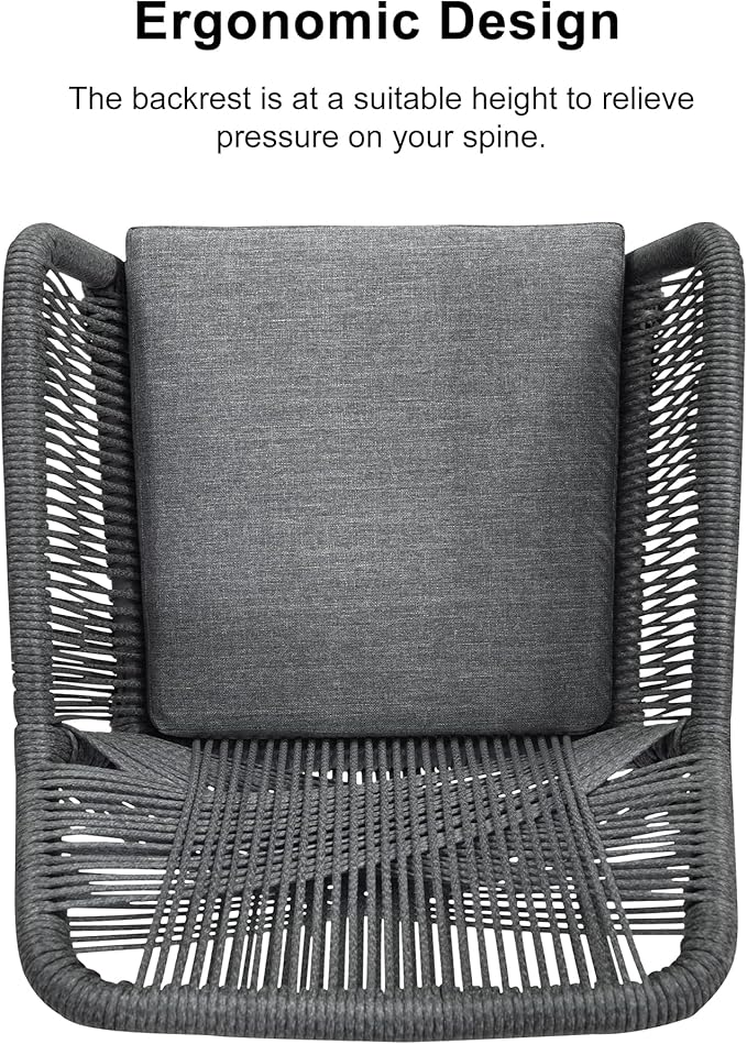 PURPLE LEAF 12 Pieces Outdoor Patio Dining Sets All-Weather PE Rattan Furniture Set with All Aluminum Frame Outdoor Table and Chairs Set for 10 People Lawn Garden Backyard Deck, Grey