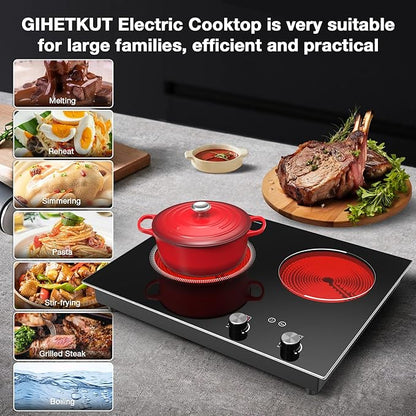 Electric Cooktop,1110V 2100W 2 Burner stove,Built-in & Countertop Stove Top with10 Heating Level, Timer & Kid Safety Lock, LED Knob Touch Control 2 Burner Electric Cooktop
