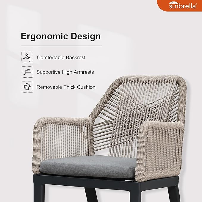 PURPLE LEAF 11 Pieces Patio Dining Set Aluminum Modern Oversize Rectangular Table and Rattan Arm Chairs with Cushions for Kitchen Porch Garden Outdoor Furniture Sets, Dark Grey