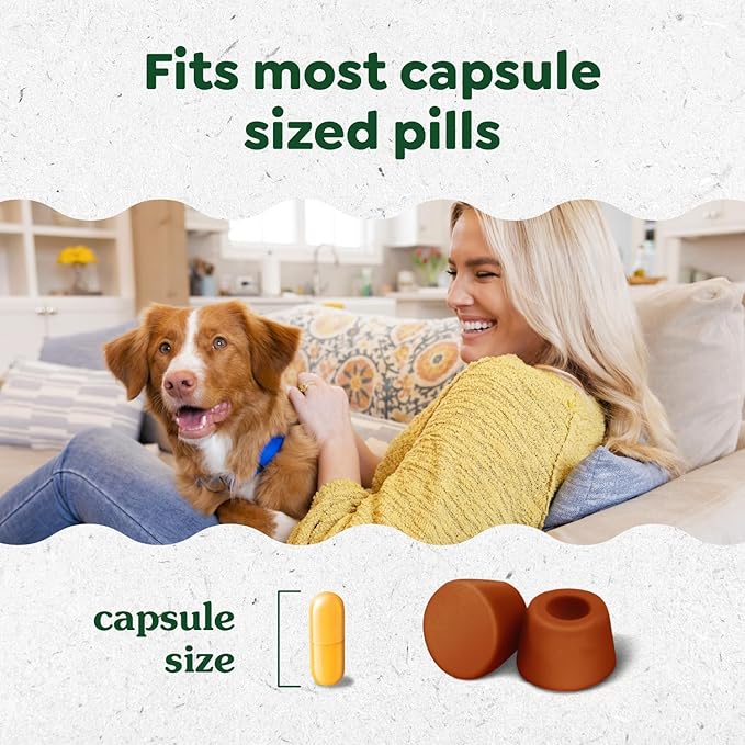 Greenies Pill Pockets for Dogs, Large Size Soft Dog Treats, Cheese Flavor, 15.8 oz. Pouch