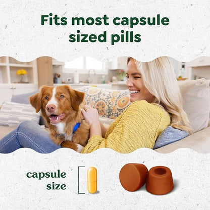 Greenies Pill Pockets for Dogs, Large Size Soft Dog Treats, Cheese Flavor, 15.8 oz. Pouch
