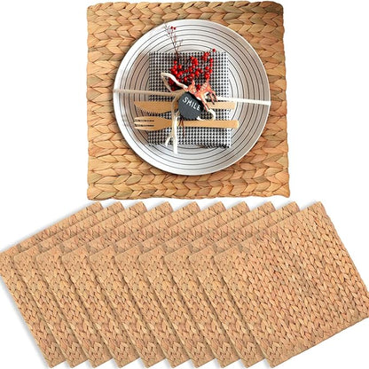Boho Place Mats Set of 10, Square Table Mats Set of 10, Woven Placemats for Round Table, Chargers for Dinner Plates, Woven Chargers, Home Plate Mat, Outdoor Placemats, Manteles Individuales De Mesa