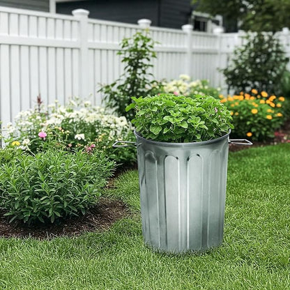 Plexon 5 Gallon Small Metal Trash Can with Lid Outdoor Galvanized Bucket with Lid 5 Gal Fireplace Ash Bucket for Wood Stove Storage Can for Dog Food Bird Seed Storage Container Rodent Pet Proof 2 Pack