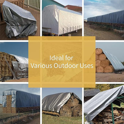 GUARD SHIELD Heavy Duty Tarp 30x30 Feet Silver Multi Purpose Thick Waterproof Poly Tarp Cover 10mil