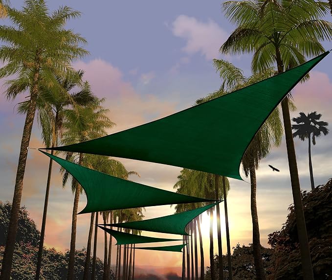 Amgo Custom Size 25' x 25' x 25' Green Triangle Sun Shade Sail UPF50+ AGTAPT10 by Amgo