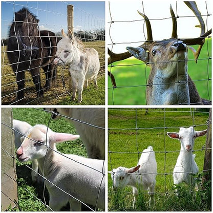 Farm Fence 3ft x 164ft Heavy Zinc Coating Cattle Fence,Galvanized Field Wire Fencing Deer Goat Hog Wire Fencing for Yard Livestock & Animals Protection