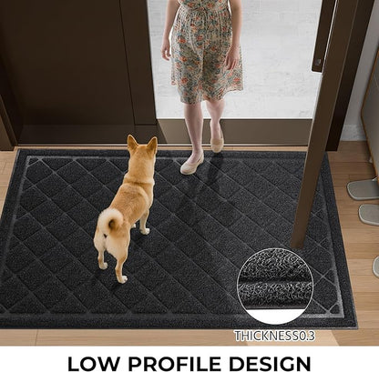 Front Door Mat Indoor Outdoor Entrance, 36" x 48" All-Season Heavy Duty Waterproof Doormat, Non-Slip Absorbent Entryway Mat, Easy to Clean, Low Profile Commercial Floor Mat for Indoor Outdoor