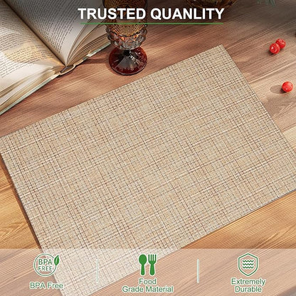 BETEAM Placemats Set of 8, Woven Vinyl Placemat for Dining Table Washable Wipeable Kitchen Place Mats Durable Indoor Outdoor Table Mats