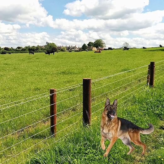 Farm Fence 3ft x 164ft Heavy Zinc Coating Cattle Fence,Galvanized Field Wire Fencing Deer Goat Hog Wire Fencing for Yard Livestock & Animals Protection