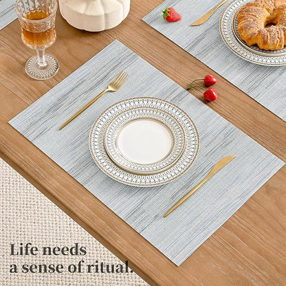 Leetaltree LightSteel Blue Placemats Set of 12 - Heat Resistant Non-Slip Place mats for Dining Table, Washable Durable PVC Vinyl Woven Table Mats（LightSteel Blue, 12）